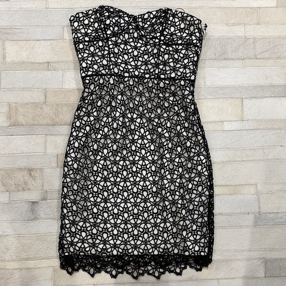 Cynthia Steffe Elegant Black Lace strapless Dress - mordernwear.com Cynthia Steffe Elegant Black Lace strapless Dress - mordernwear.com